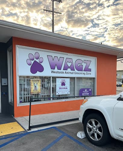 WAGZ Grooming cat grooming