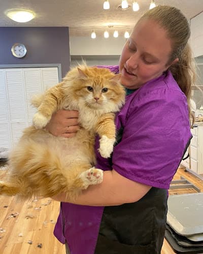 Joy's Pet Salon & Spaw cat grooming
