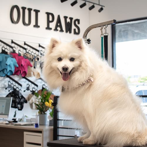 Oui Paws Pet Salon cat grooming