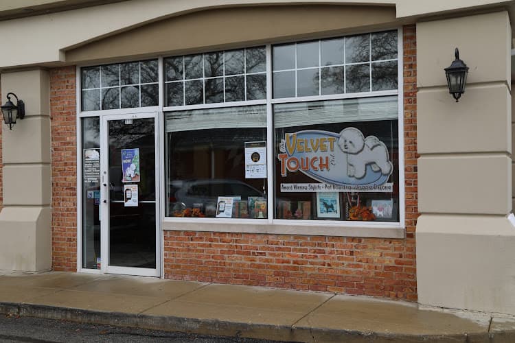 The Velvet Touch Pet Salon cat grooming