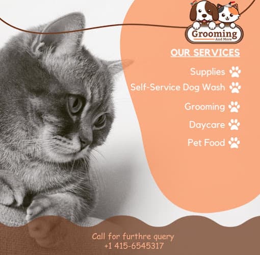 Grooming and More cat grooming